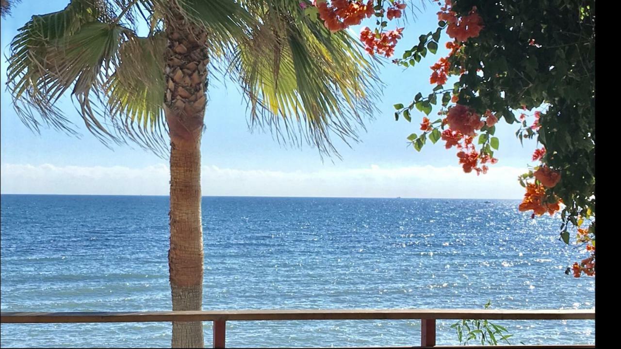 Mi Capricho Beachfront- 9D Apartment With Sea Views - Costa Del Sol Ла Кала де Михас Екстериор снимка